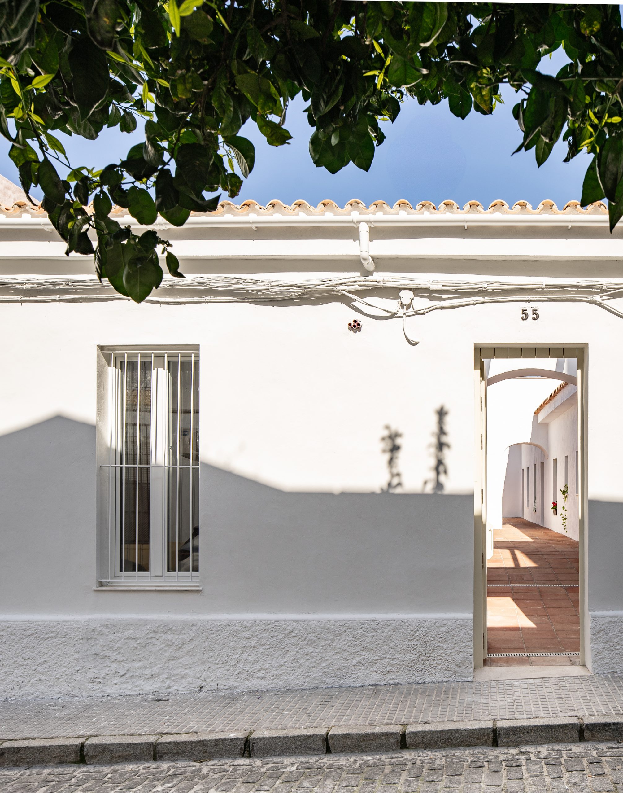 Sol 55-1 Sol 55 1 scaled