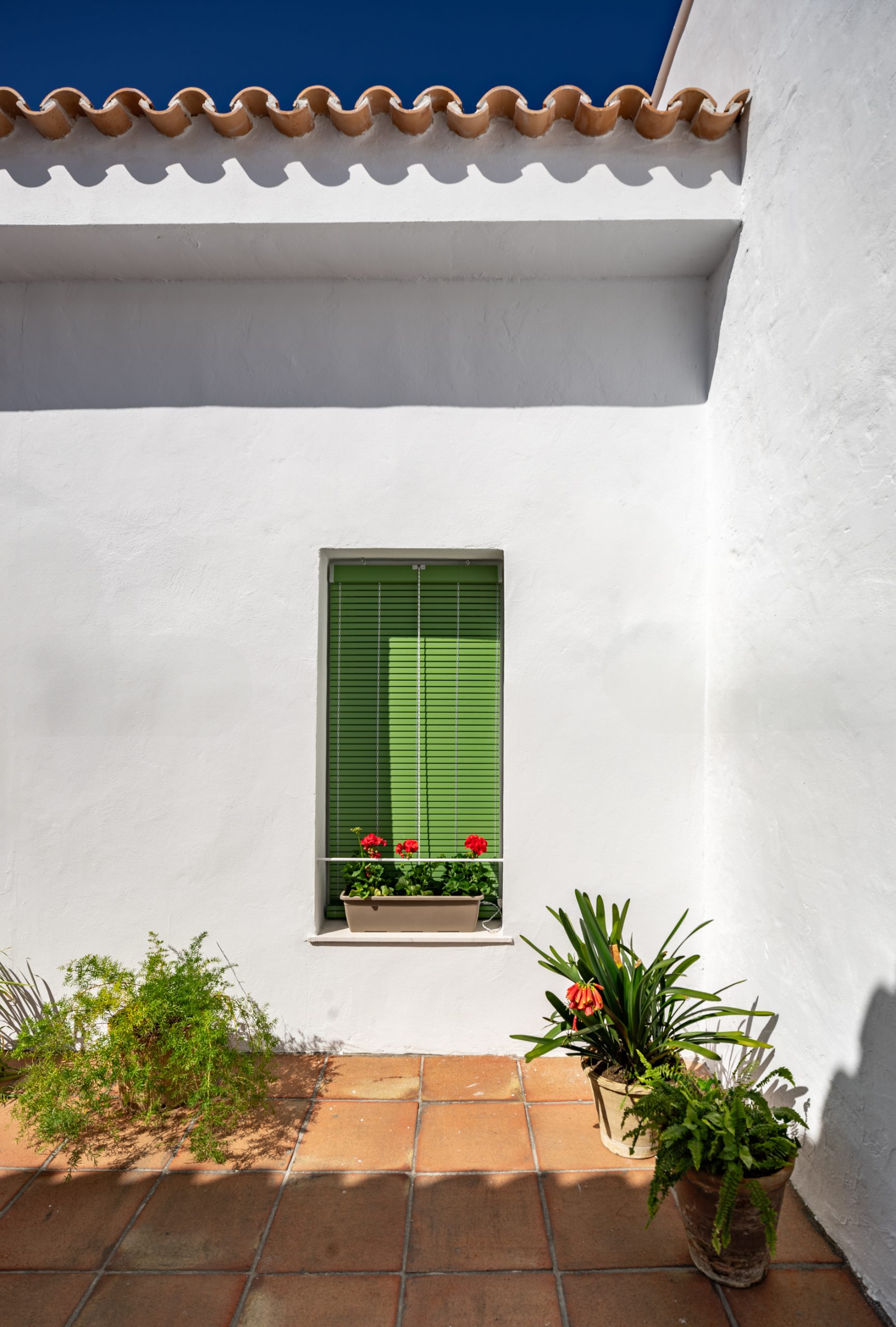 Sol 55-10 Sol 55 10 scaled