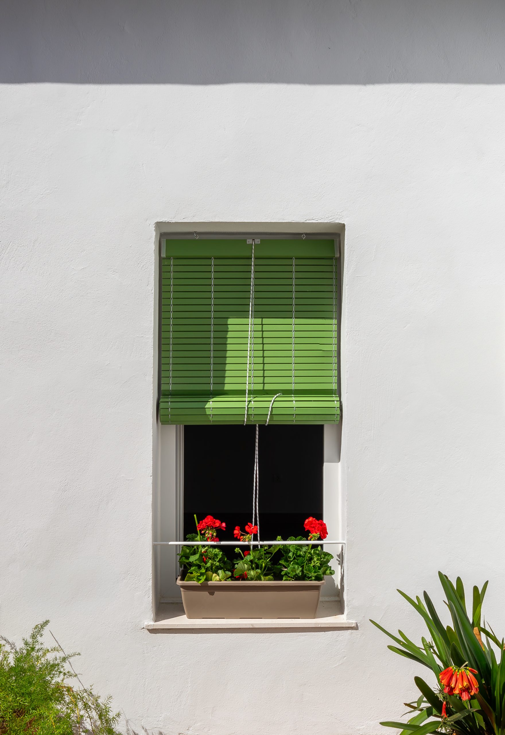 Sol 55-11 Sol 55 11 scaled