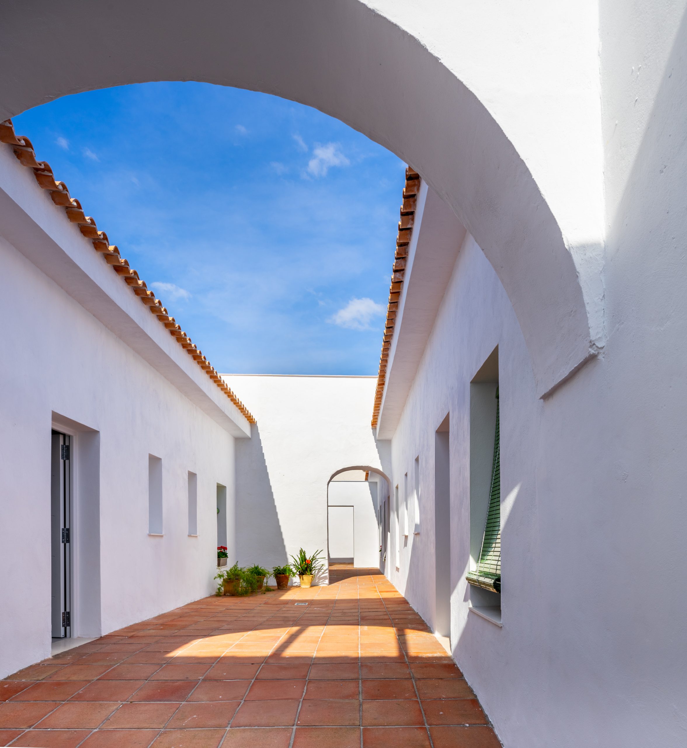 Sol 55-31 Sol 55 31 scaled