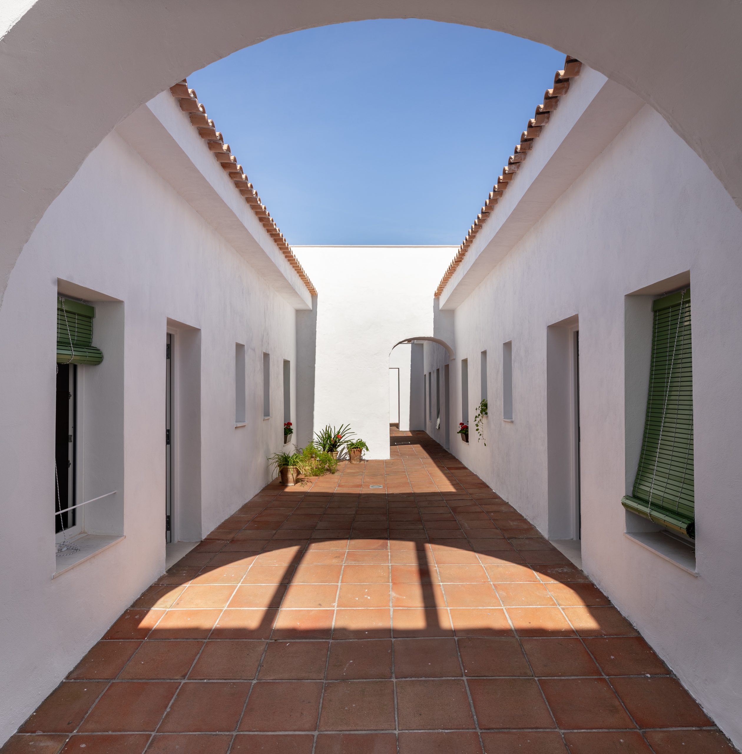 Sol 55-4 Sol 55 4 scaled