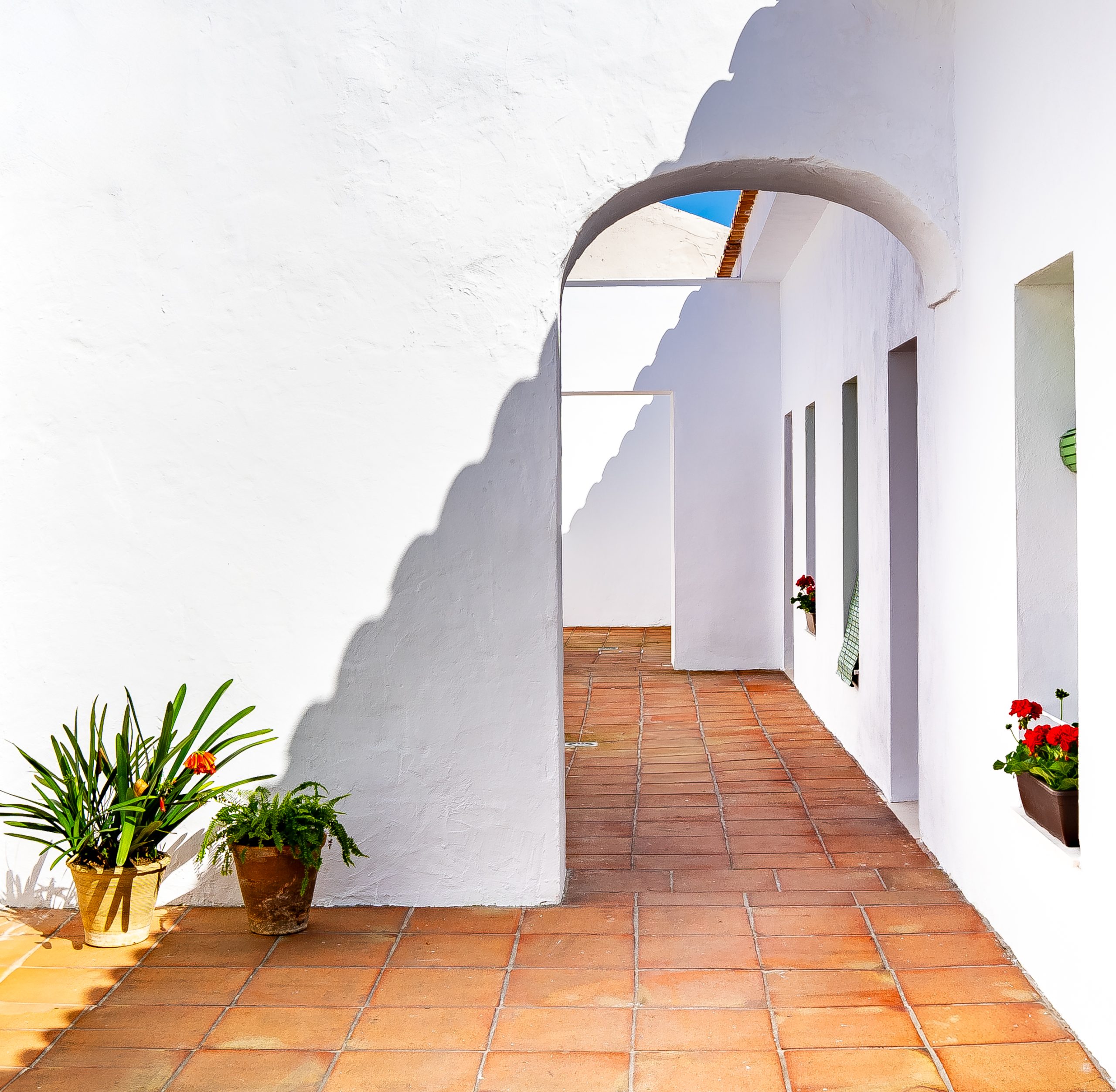 Sol 55-6 Sol 55 6 scaled