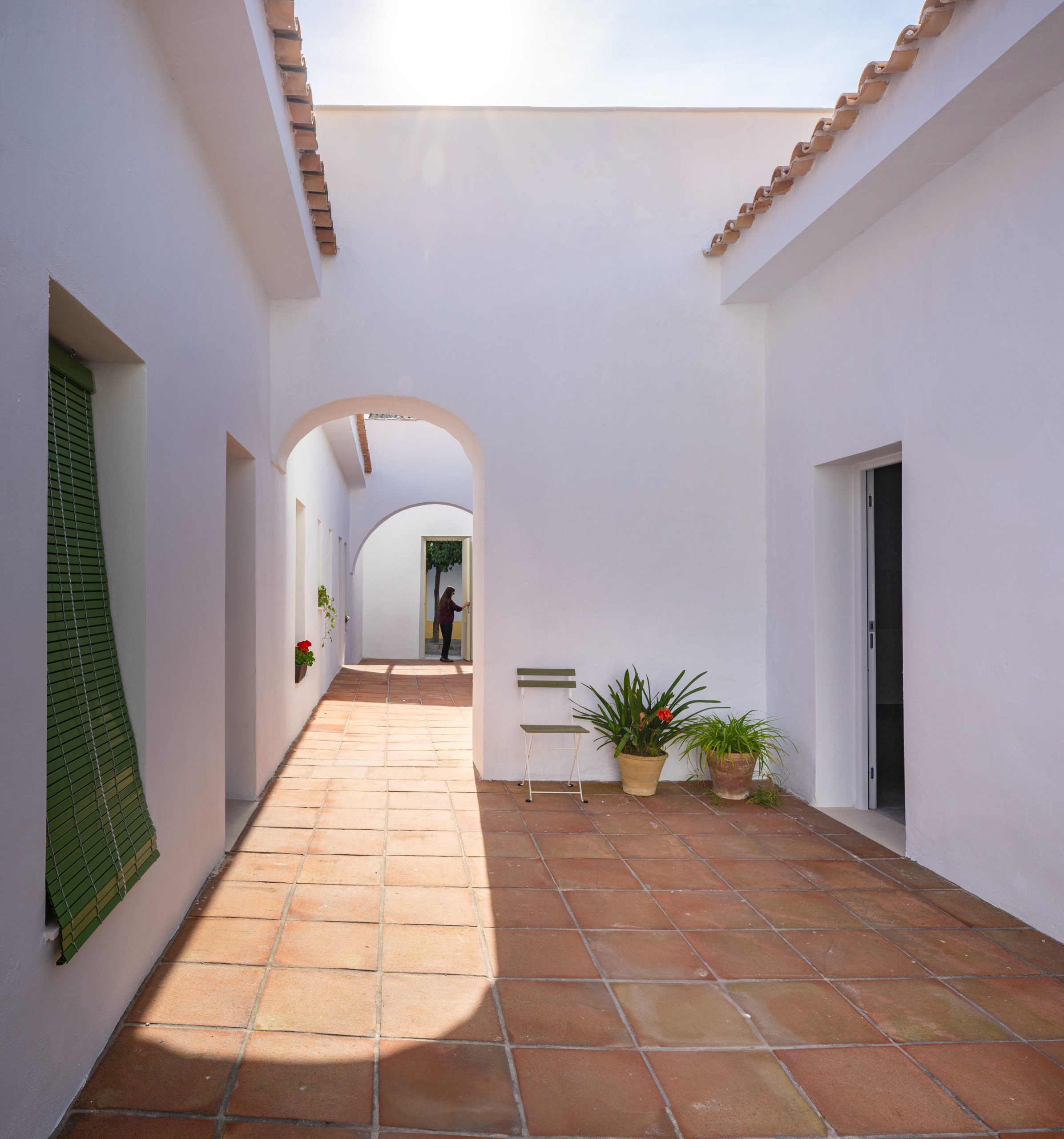 Sol 55-8 Sol 55 8 scaled