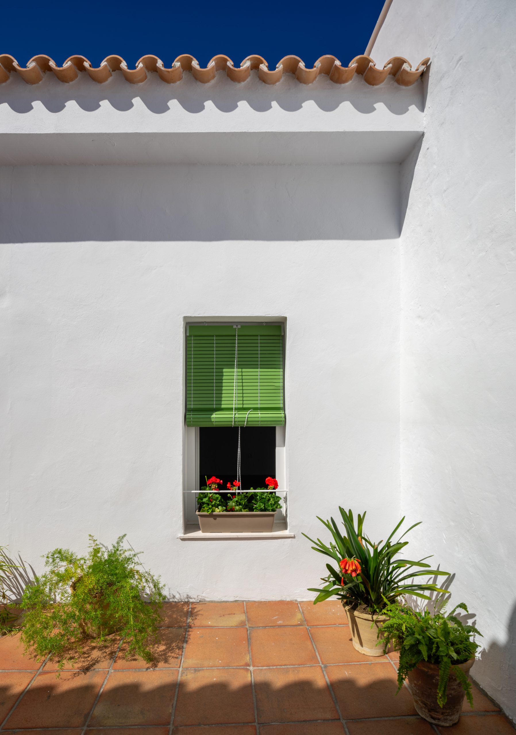 Sol 55-9 Sol 55 9 scaled